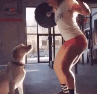 Workout Kiss GIF - Workout Kiss Dog GIFs