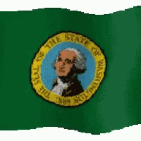 a green flag with the seal of the state of washington in the center