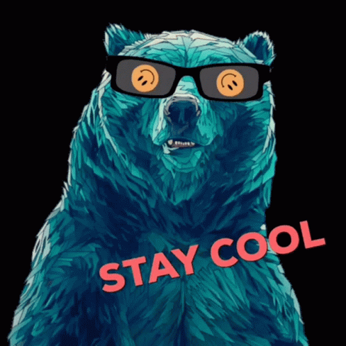 Bear Stay Cool GIF - Bear Stay Cool Swag GIFs