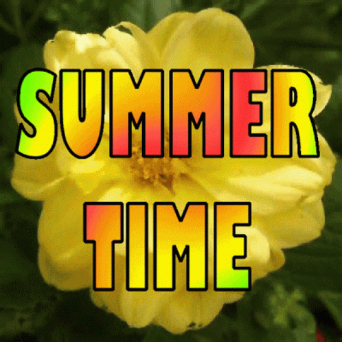 Summertime Sunshine GIF - Summertime Summer Sunshine GIFs