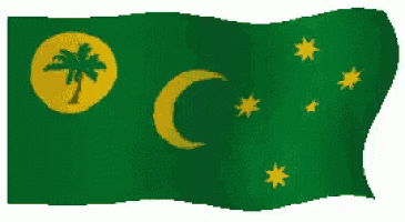 a green flag with a crescent moon and palm tree on it