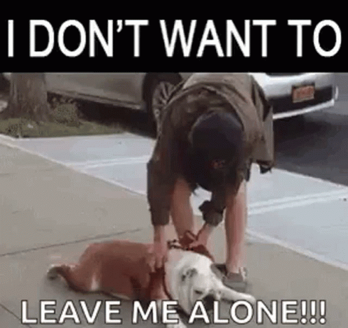 I Dont Want To Leave Me Alone GIF - I Dont Want To Leave Me Alone Dog GIFs