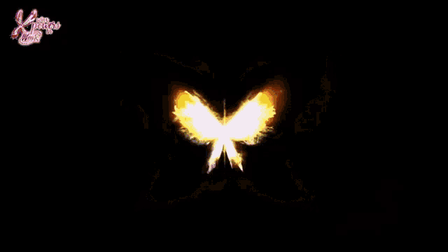a picture of a butterfly with the word x on the bottom left
