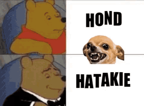 a picture of winnie the pooh next to a picture of a dog with the words hond hatakie