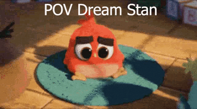 a cartoon angry bird is sitting on a blue mat with the words pov dream stan above it