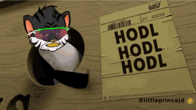 a cat wearing sunglasses and a sticker that says hodl