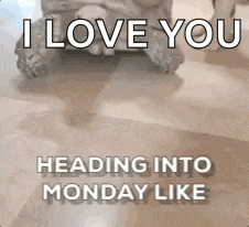 a turtle is sitting on a tiled floor with the words `` i love you heading into monday like '' .