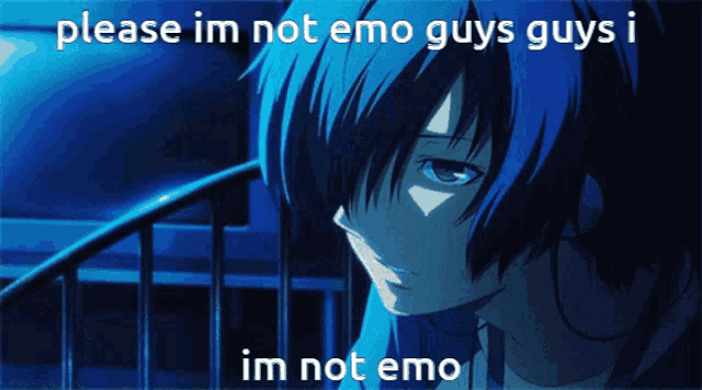 a picture of a boy with the words please im not emo guys guys im not emo