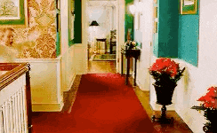 a hallway with a red carpet and a potted plant in the middle .