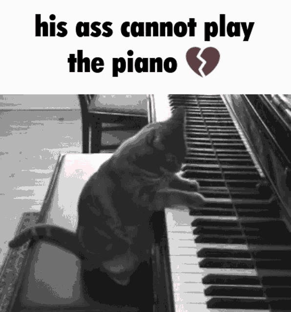 a black and white photo of a cat playing the piano