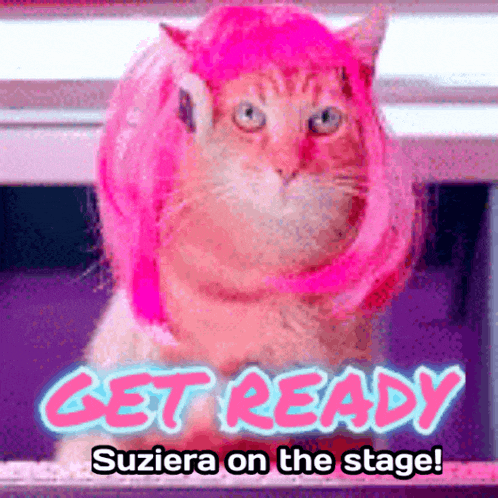 a cat wearing a pink wig with the words get ready suziera on the stage below it