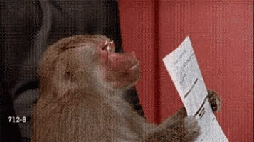 Monkey Studying GIF - Monkey Studying Exam GIFs