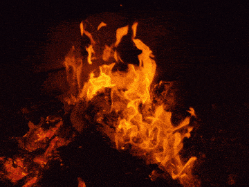Bonfire Pit GIF - Bonfire Fire Pit GIFs