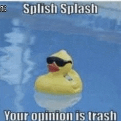 a yellow rubber duck wearing sunglasses is floating on top of a pool .