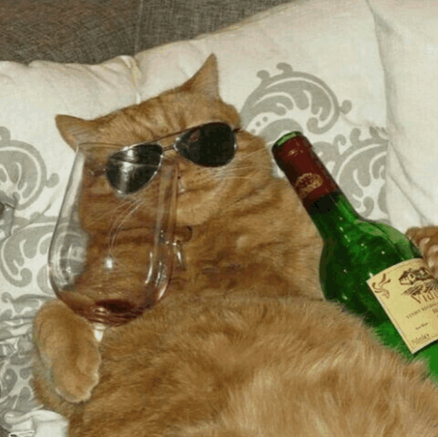 a cat is wearing sunglasses and holding a glass of wine and a bottle of wine