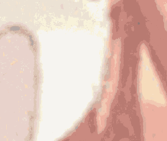 a blurred image of a person 's face with a white circle in the middle