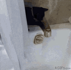 a black cat is laying in a bathtub next to a shower curtain .