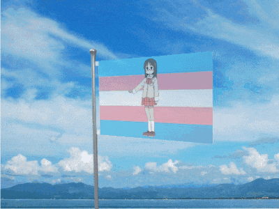 a transgender flag is flying in the wind with mountains in the background