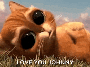 a cat is laying in the grass with the words `` love you johnny '' written on it .