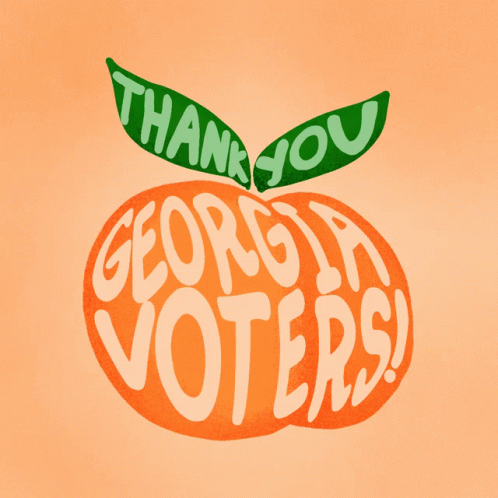 Thank You Georgia Voters Vote In Georgia GIF - Thank You Georgia Voters Thank You Georgia Georgia Voter GIFs