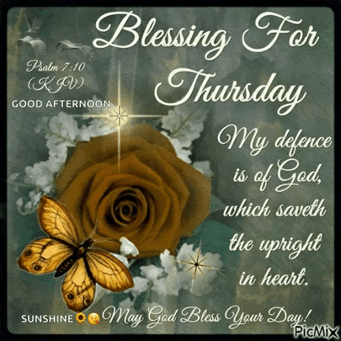 a blessing for thursday greeting card with a rose and a butterfly
