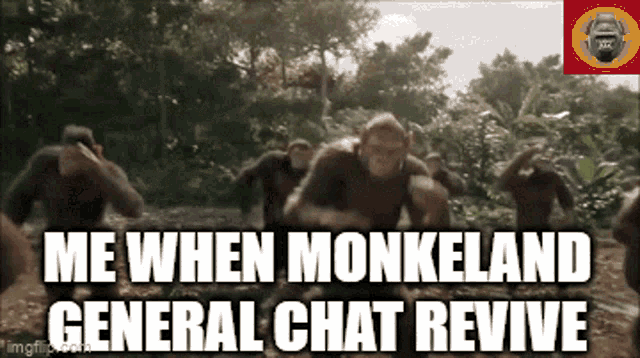 Monkeland Gif Revive Chat Discord Monkeland GIF