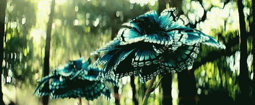 Snow White And The Huntsman Butterflies GIF - Snow White And The Huntsman Butterflies Blue GIFs