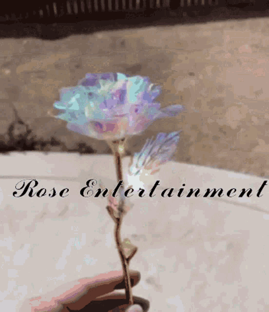 Rose Aesthetic GIF - Rose Aesthetic Pretty GIFs