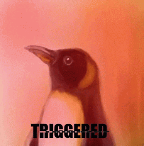 Triggered Penguin GIF - Triggered Penguin Original GIFs