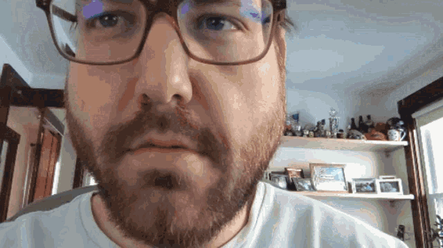 a man with a beard wearing glasses looks at the camera