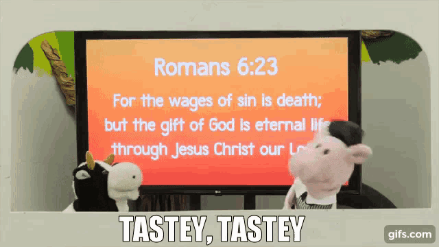 two stuffed cows are standing in front of a tv screen with romans 6:23 on it