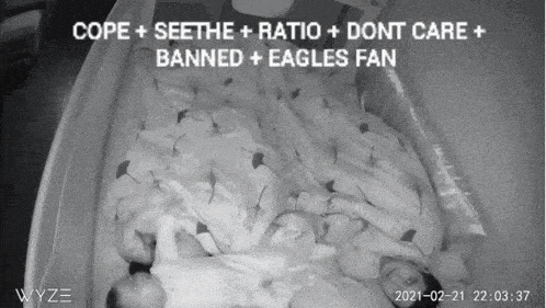 Eagles Fan Cope GIF - Eagles Fan Cope Seethe GIFs
