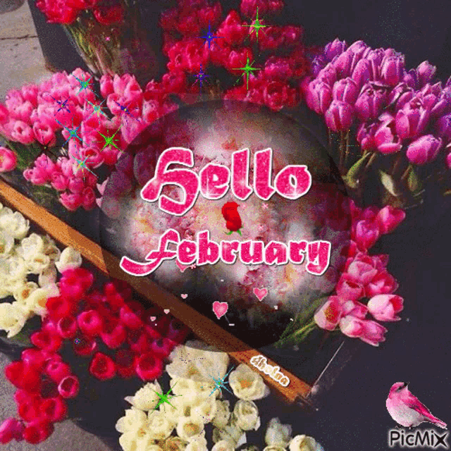 a picture with flowers and the words hello february