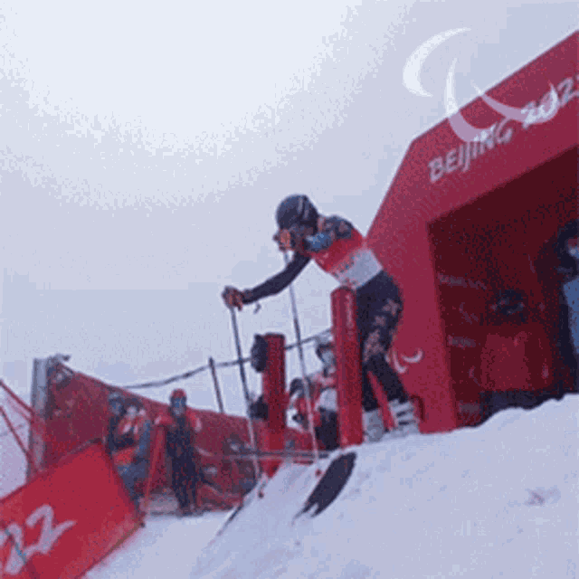 Skiing Alpine Skiing GIF - Skiing Alpine Skiing Ebba Aarsjoe GIFs