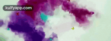 a purple and white background with a butterfly in the middle