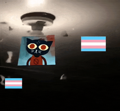 a picture of a cat with a no sign on its chest