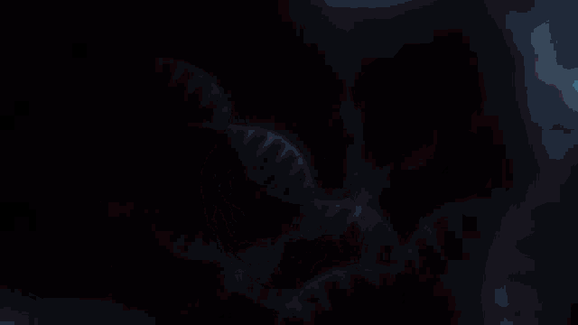 a computer generated image of a human heart