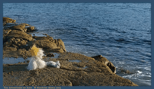 a picture of a stuffed animal sitting on a rock near the ocean was taken by macavon media in 2013