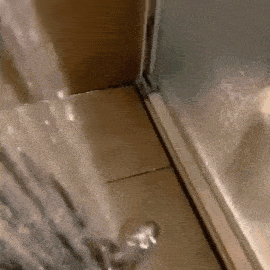 a shower curtain is being pulled up and water is coming out of it .