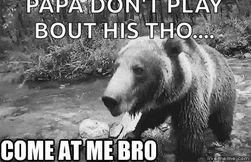 a black and white photo of a bear with the caption " papa don t play bout his tho ... come at me bro "