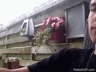 a person is standing in front of a fence with flowers in a pot