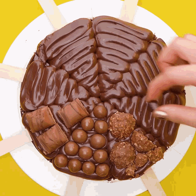 a white plate topped with chocolate covered candy including kinder bueno maltesers and rocher