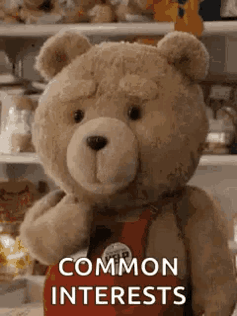 a teddy bear wearing a red apron is standing in front of a shelf and says `` common interests '' .
