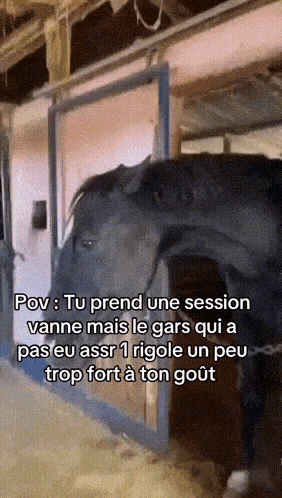 a horse is standing in a stable with a caption that says pov tu prend une session