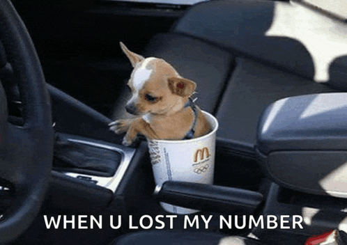 a small dog is sitting in a mcdonald 's cup with the caption " when u lost my number "