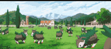 a bunch of sheep are standing in a field with mountains in the background