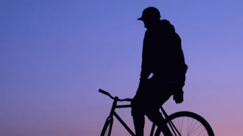 Bikes Sunset GIF - Bikes Sunset Bicycle GIFs