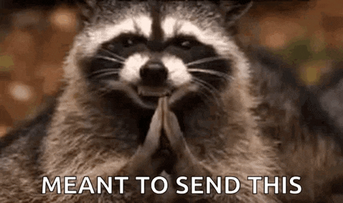 a raccoon is praying with its hands folded in front of its face and the words `` meant to send this '' .