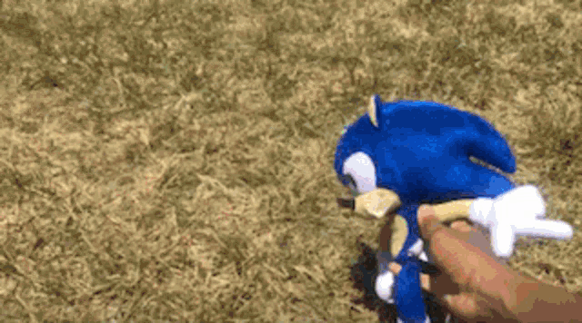 Sonic Plush Sonic Plush Paradox GIF - Sonic Plush Sonic Plush GIFs