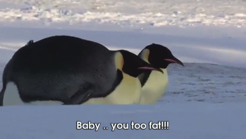 Fat Penguin GIF - Penguin Baby You Too Fat GIFs